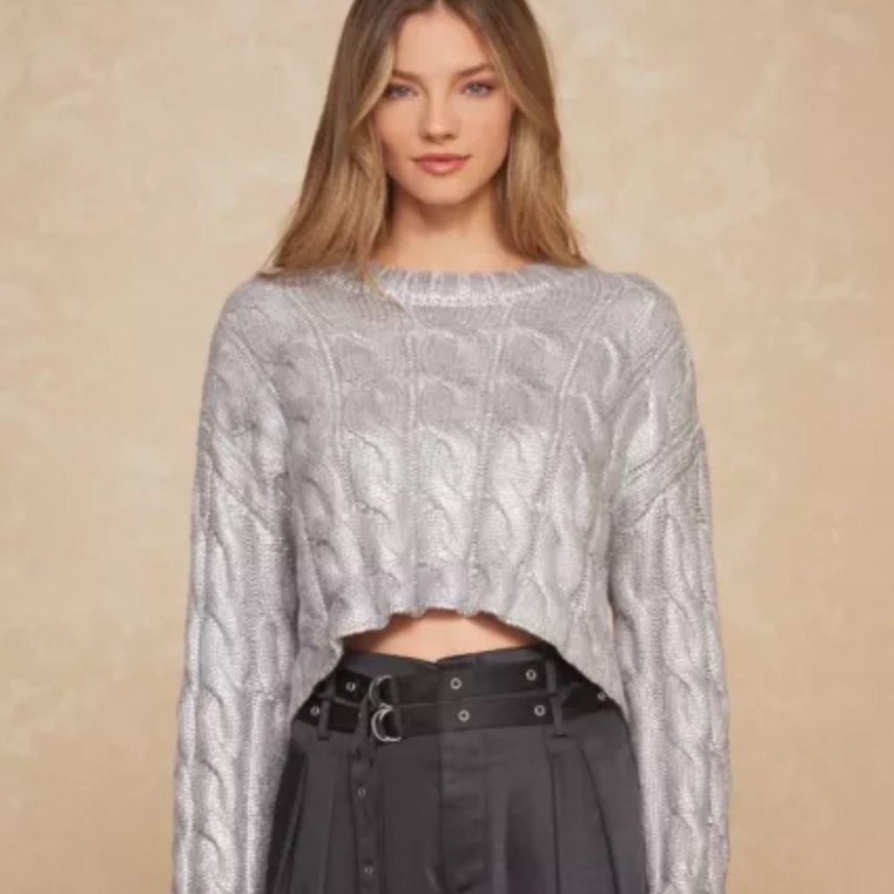 NWT Noli shop metallic silver sweater